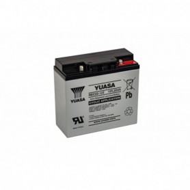  Xtreme 12V Battery (REC22-12) 